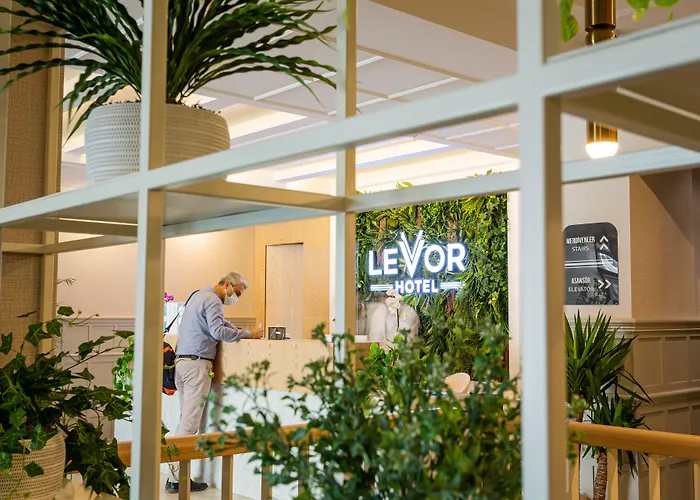 Hotel Levor